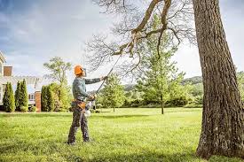 Best Tree and Shrub Care  in Brown Station, MD