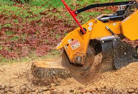 Best Lawn Pest Prevention  in Brown Station, MD
