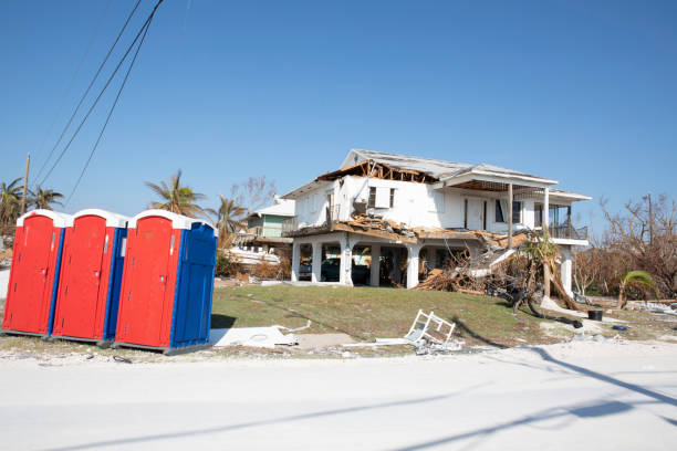  Brown Station, MD Tree Removal Pros